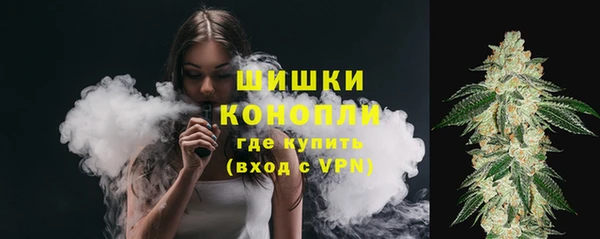 трава Покачи
