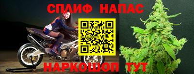 спайс Берёзовский