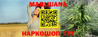 спайс Берёзовский