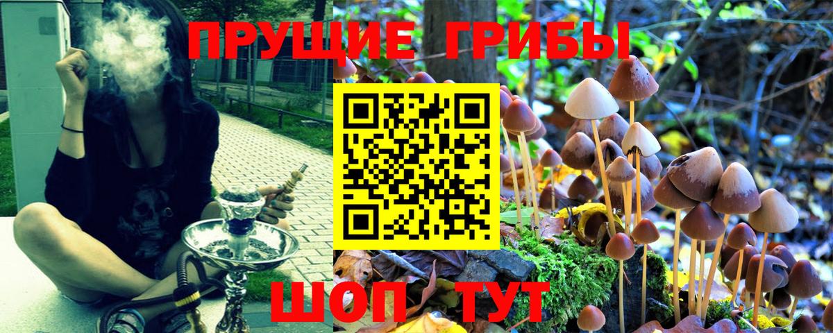 Псилоцибиновые грибы мицелий  Вход с VPN  Большой Камень 