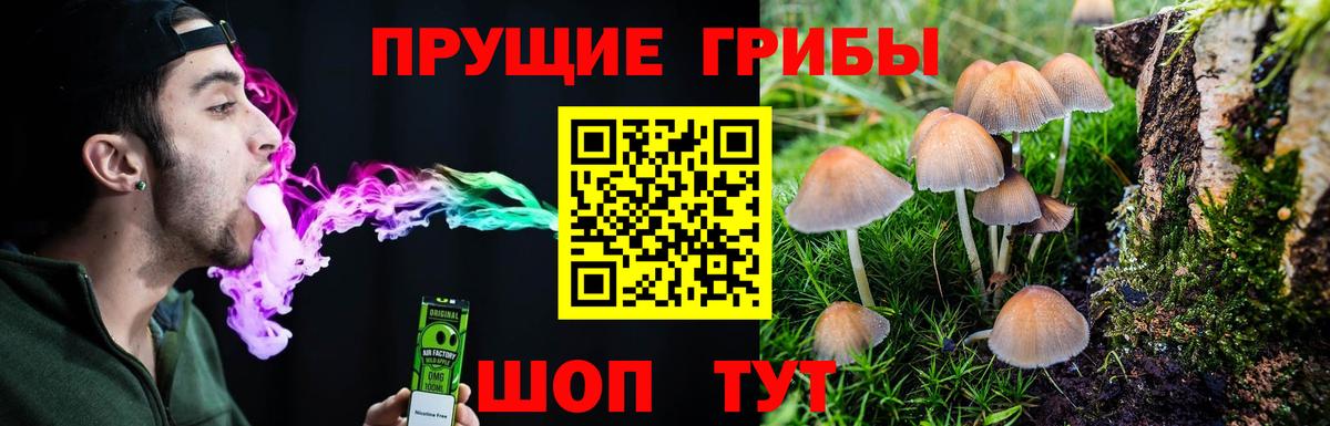 Псилоцибиновые грибы MAGIC MUSHROOMS  Галлюциногенные грибы GOLDEN TEACHER  закладки  Большой Камень 