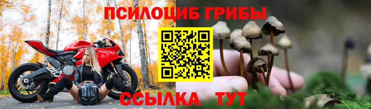 Галлюциногенные грибы ЛСД Большой Камень