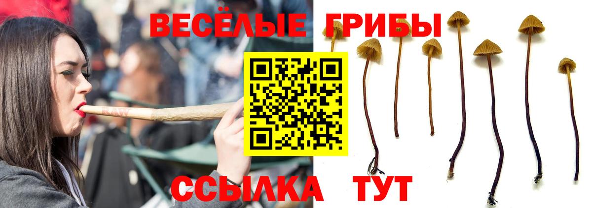 Меф МЯУ МЯУ кристаллы  Большой Камень  COCAIN  Вход с VPN  Бошки Шишки  ГАШ 