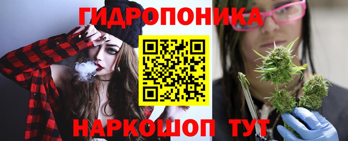 Бошки Шишки SATIVA & INDICA  Каннабис планчик  Большой Камень  Бошки Шишки MAZAR  Бошки Шишки Bruce Banner 